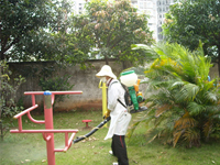 2012年南寧兩會(huì)一節(jié)加強(qiáng)“四害”消殺工作